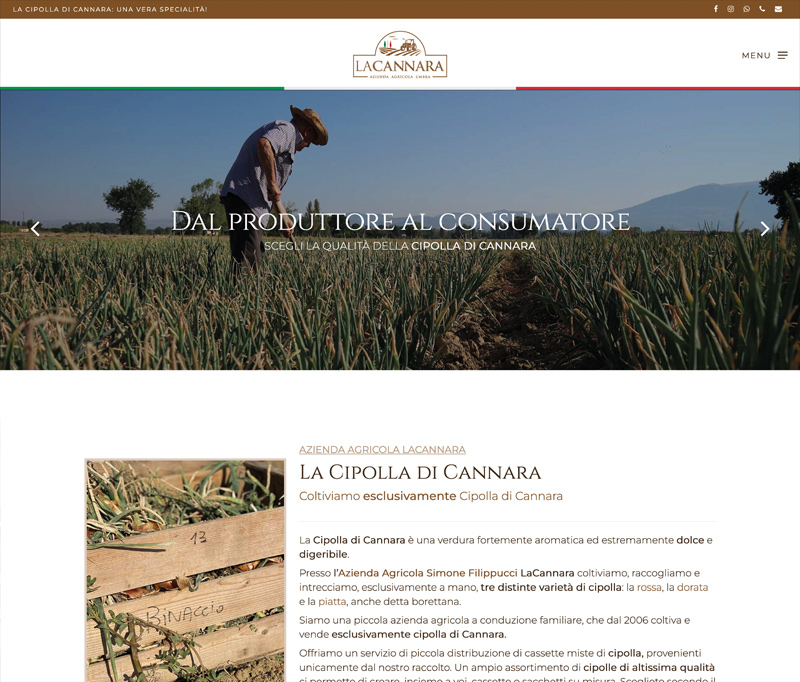 Realizzazione siti web Realizzazione siti web: La Cannara Produzione Cipolla